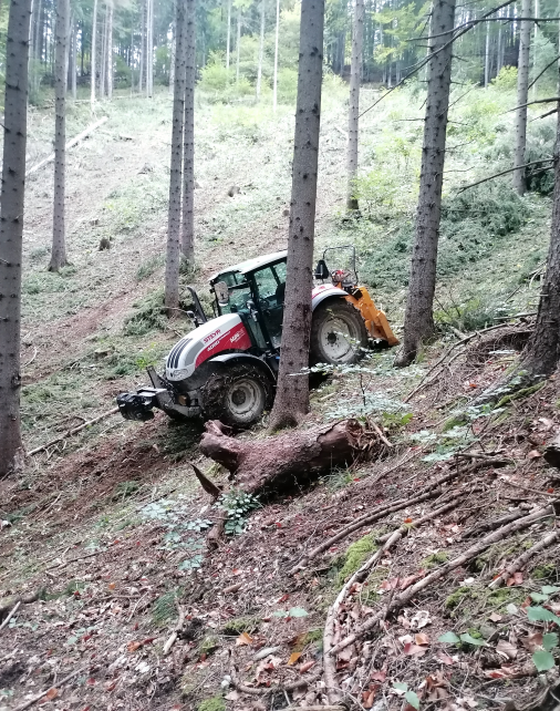 lesníctvo a ťažba dreva